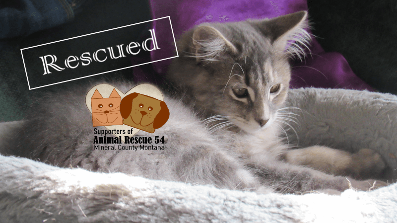 Supporters of Animal Rescue 54 Superior Montana